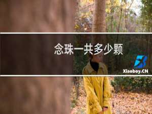 念珠一共多少颗
