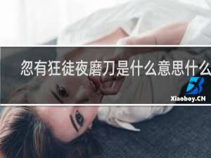 忽有狂徒夜磨刀是什么意思什么梗