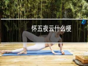 怀五夜云什么梗