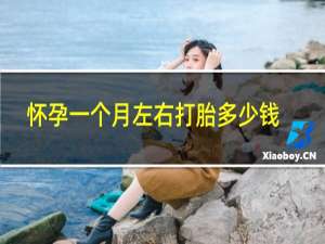 怀孕一个月左右打胎多少钱