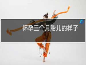 怀孕三个月胎儿的样子（怀孕三个月胎儿多大）