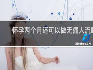 怀孕两个月还可以做无痛人流吗