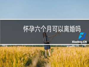 怀孕六个月可以离婚吗