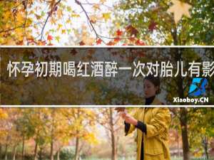 怀孕初期喝红酒醉一次对胎儿有影响吗