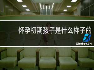 怀孕初期孩子是什么样子的