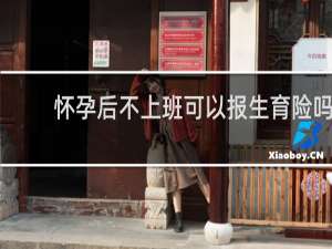 怀孕后不上班可以报生育险吗