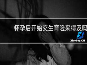 怀孕后开始交生育险来得及吗