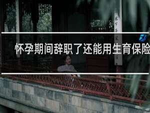 怀孕期间辞职了还能用生育保险吗