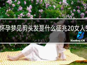 怀孕梦见剪头发是什么征兆 女人生男孩