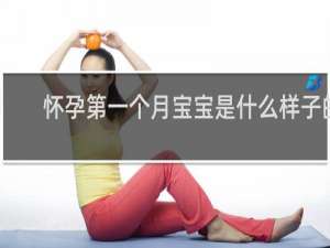 怀孕第一个月宝宝是什么样子的