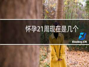 怀孕21周现在是几个月了（怀孕21周是几个月）