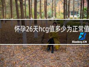 怀孕26天hcg值多少为正常值