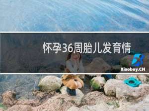 怀孕36周胎儿发育情况（怀孕36周妈妈变化）