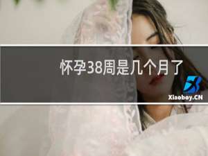 怀孕38周是几个月了（怀孕38周是几个月了）