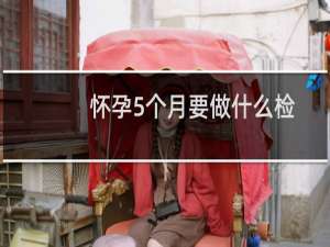 怀孕5个月要做什么检查（怀孕5个月该做什么检查）