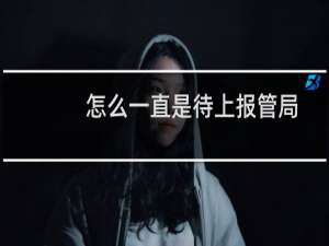 怎么一直是待上报管局状态？