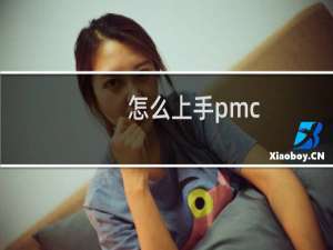 怎么上手pmc