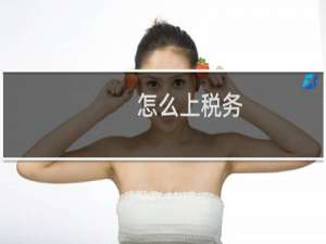 怎么上税务