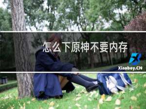 怎么下原神不要内存
