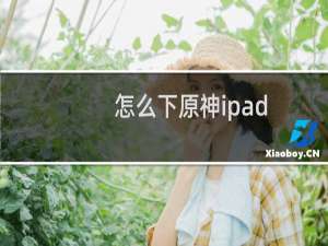 怎么下原神ipad