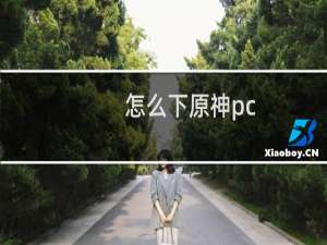 怎么下原神pc