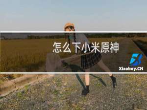 怎么下小米原神