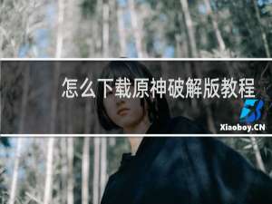 怎么下载原神破解版教程