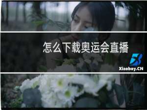 怎么下载奥运会直播