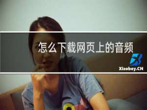 怎么下载网页上的音频连接