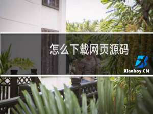 怎么下载网页源码