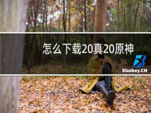 怎么下载 真 原神