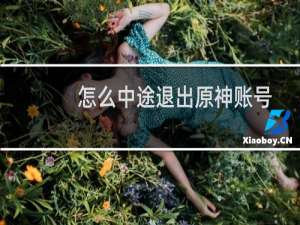 怎么中途退出原神账号