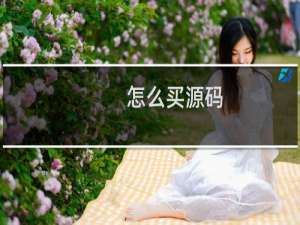 怎么买源码