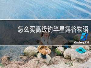 怎么买高级钓竿星露谷物语