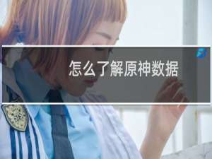 怎么了解原神数据