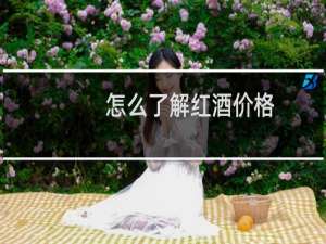怎么了解红酒价格