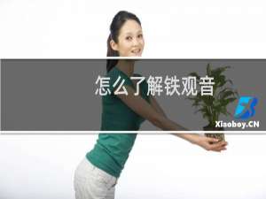 怎么了解铁观音