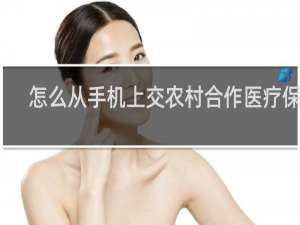 怎么从手机上交农村合作医疗保险