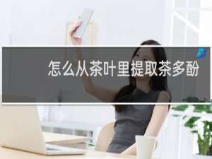 怎么从茶叶里提取茶多酚