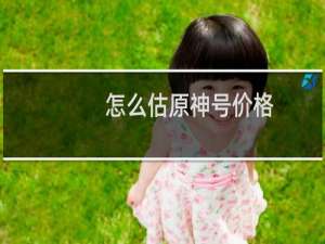 怎么估原神号价格