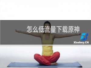 怎么低流量下载原神