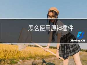 怎么使用原神插件