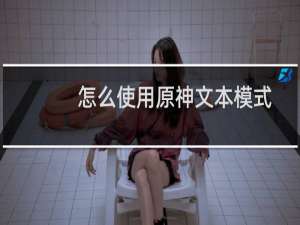 怎么使用原神文本模式