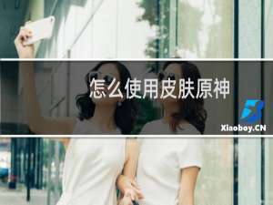 怎么使用皮肤原神