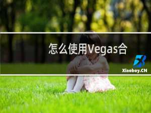 怎么使用Vegas合成级别、单色化功能