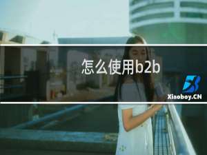 怎么使用b2b