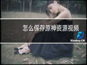 怎么保存原神资源视频