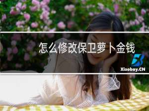 怎么修改保卫萝卜金钱