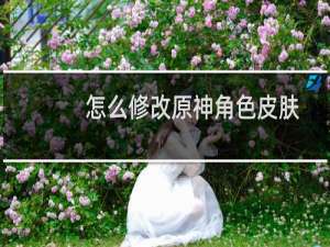 怎么修改原神角色皮肤
