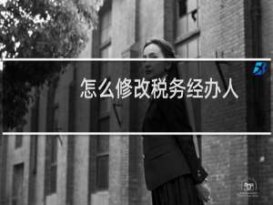 怎么修改税务经办人